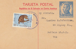 El Salvador Postcard To Buffalo USA - El Salvador