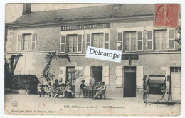 MESLAND (41) - Hôtel Depoulon   (beau Plan) - Otros Municipios