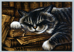 STRIPED CAT Tabby Book Keeper In Library So Cute Russian New Postcard - Zonder Classificatie
