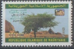 Mauritanie Mauritania - 2005 - Flore - 370UM - Mauritania (1960-...)