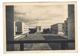 13813 CLC - ROMA CITTA' UNIVERSITARIA - VIALE CENTRALE E RETTORATO 1940 CIRCA - Onderwijs, Scholen En Universiteiten