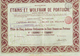 Société Des Etains Et  Wolfram De Portugal Bruxelles  1900 Modifié 1903 Et 1905 - Mijnen