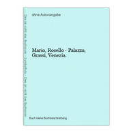 Mario, Rosello - Palazzo, Grassi, Venezia. - Photography