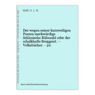 Der Wegen Seiner Kurzweiligen Possen Merkwürdige Schlesische Rübezahl Oder Der Schalkhafte Berggeist. -- Volks - Internationale Auteurs