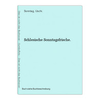 Schlesische Sonntagsfrische. - Maps Of The World