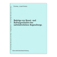 Beiträge Zur Kunst- Und Kulturgeschichte Des Mittelalterlichen Regensburgs. - Maps Of The World