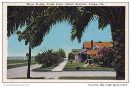 Florida Tampa A Tropical Street Scene Suburb Beautiful 1929 - Tampa