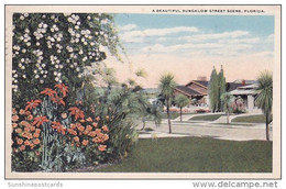 Florida Daytona A Beautiful Bungalow Street Scene 1921 - Daytona