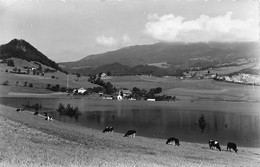 Lac De La Gruyère - Pont-la-Ville - Autres & Non Classés