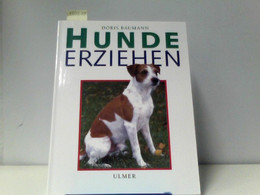 Hunde Erziehen - Animaux