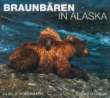 Braunbären In Alaska - Animaux