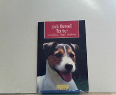 Jack Russell Terrier - Animaux
