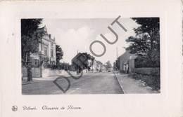 Postkaart-Carte Postale - DILBEEK - Chaussée De Ninove  (C1556) - Dilbeek