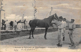 Miramont          47    Annexe De La Remonte De Bouilhaguet  .Présentation Du Cheval        (voir Scan) - Other & Unclassified