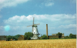 Deerlijk  Molen Declercq - Deerlijk