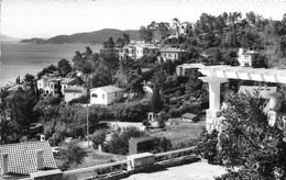 LE LAVANDOU - Villa Dans La Colline (CPSM Petit Format) - Le Lavandou