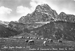 Alpe Veglia (Ossola)  Casolari Di Cianciavero E Monte Léone   (10 X 15 Cm) - Verbania