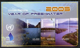 Zambia 2005 International Year Of Freshwater Perf Sheetlet Containing 3 Values U/M SG MS 922a - Zambie (1965-...)