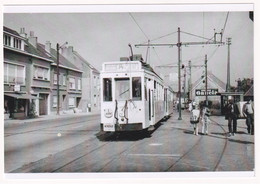 Wijndruif Asse - Terminus 1963 - Photo - & Tram - Treinen