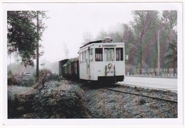 Halle-Booienhoven - Saison Betteravière 1958 - Photo - & Tram, Train - Treinen