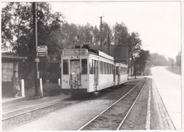 Koudenberg Zellik Asse 1963 - Photo - & Tram - Trains