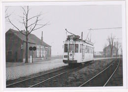 Londerzeel Driehoek 1952 - Photo - & Tram - Trains