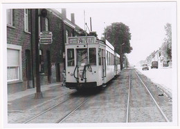 Kalkhoven Zellik Asse 1963 - Photo - & Tram - Trains