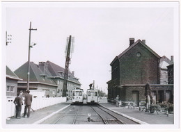 Aarschot - Gare SNCB 1953 - Photo - & Tram, Railway Station - Eisenbahnen