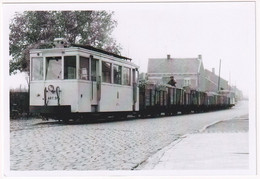 Overhespen - Village - Convoi De Betteraves Sur La Ligne Jodoigne - Overhespen 1959 - Photo - & Tram - Eisenbahnen