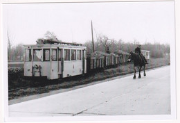 Overhespen - Convoi De Betteraves Sur La Ligne Jodoigne - Overhespen 1959 - Photo - & Tram, Train - Trains