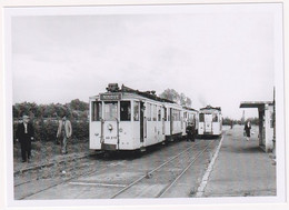 Vollezele Ninove 1957 - Photo - & Tram, Railway Station - Trains