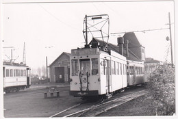 Haacht Station 1954 - Photo - & Tram, Train - Eisenbahnen