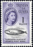 **/o 1961, Definitives, Queen Elisabeth II, Decimal Currency, 13 Pieces (Mi. 42-54 / SG 42-54) - Tristan Da Cunha