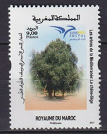 Morocco 2017 Flora, Trees Of The Mediterranean, EUROMED MNH** - Arbres