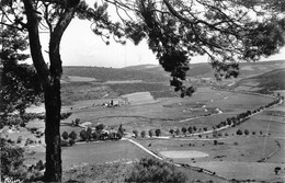 PIE-FL-21-6608 : CHATEAUNEUF-DE-RANDON - Chateauneuf De Randon