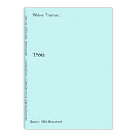 Troia - 1. Frühgeschichte & Altertum