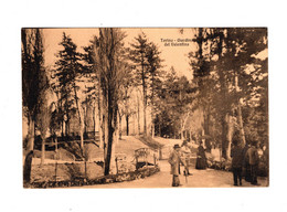 14856 " TORINO-GIARDINO DEL VALENTINO " ANIMATA-VERA FOTO-CART. POST.SPED.1910 - Parques & Jardines