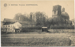 Scherpenheuvel - Montaigu   *  Panorama - Scherpenheuvel-Zichem