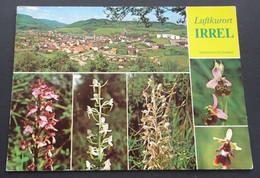 Luftkurort Irrel - Heimische Orchideen - Bitburg