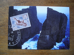 Carte Postale, Crozet île De La Possession Gérant Postal Sylvain Benoit Signé - Entiers Postaux