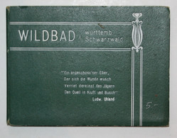 Wildbad I. Württemb. Schwarzwald. - Wereldkaarten