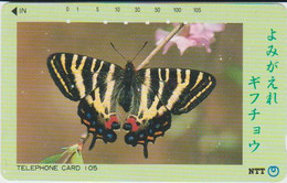 BUTTERFLY - JAPAN - H118 - 331-285 - Papillons