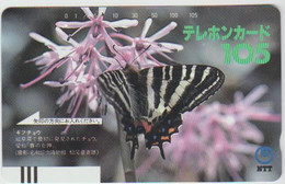 BUTTERFLY - JAPAN - H125 - 290-007 - Butterflies