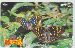 BUTTERFLY - JAPAN - H126 - 250-509 - Butterflies