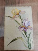 CPA  Iris Dessin 1906 - Flores