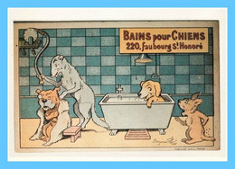 CPM Illustration - Musée De La Seita - Rabier - Reproduction 10,5x15 - Bains Pour Chiens - Rabier, B.