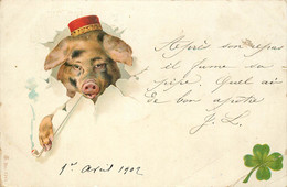 CARTE AVEC COCHON FUMEUR DE PIPE - Cochons