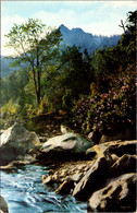 Tennessee Great Smoky Mountains The Chimney Tops 1954 - Smokey Mountains