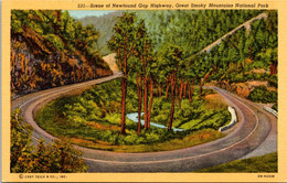 Tennessee The Great Smoky Mountains Scene Of Newfound Gap Highway Curteich - Smokey Mountains