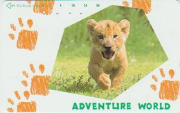 WILDCATS - JAPAN-023 - LION - 330-21867 - Dschungel